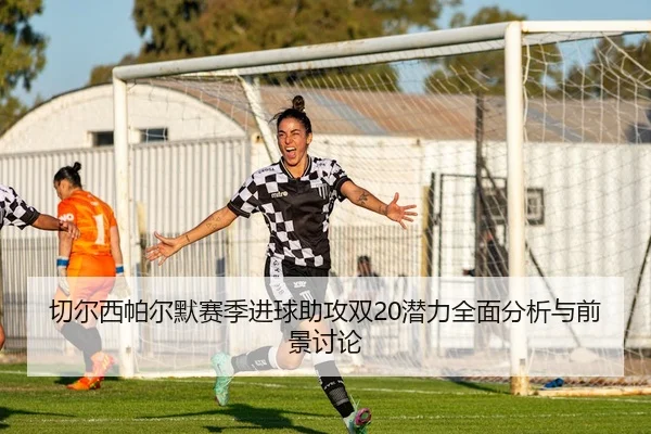 切尔西帕尔默赛季进球助攻双20潜力全面分析与前景讨论