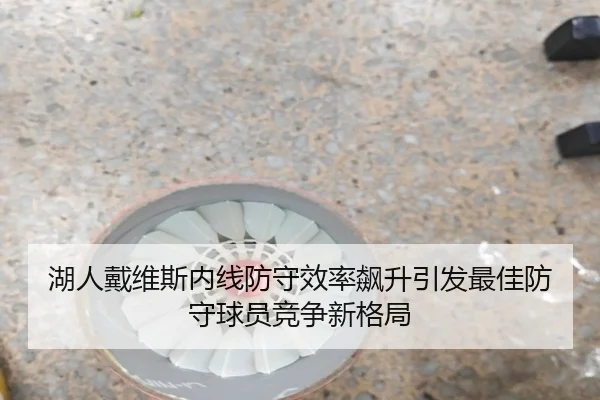 湖人戴维斯内线防守效率飙升引发最佳防守球员竞争新格局