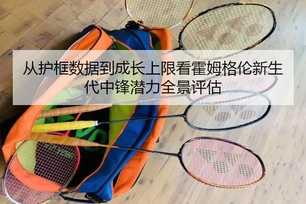 从护框数据到成长上限看霍姆格伦新生代中锋潜力全景评估